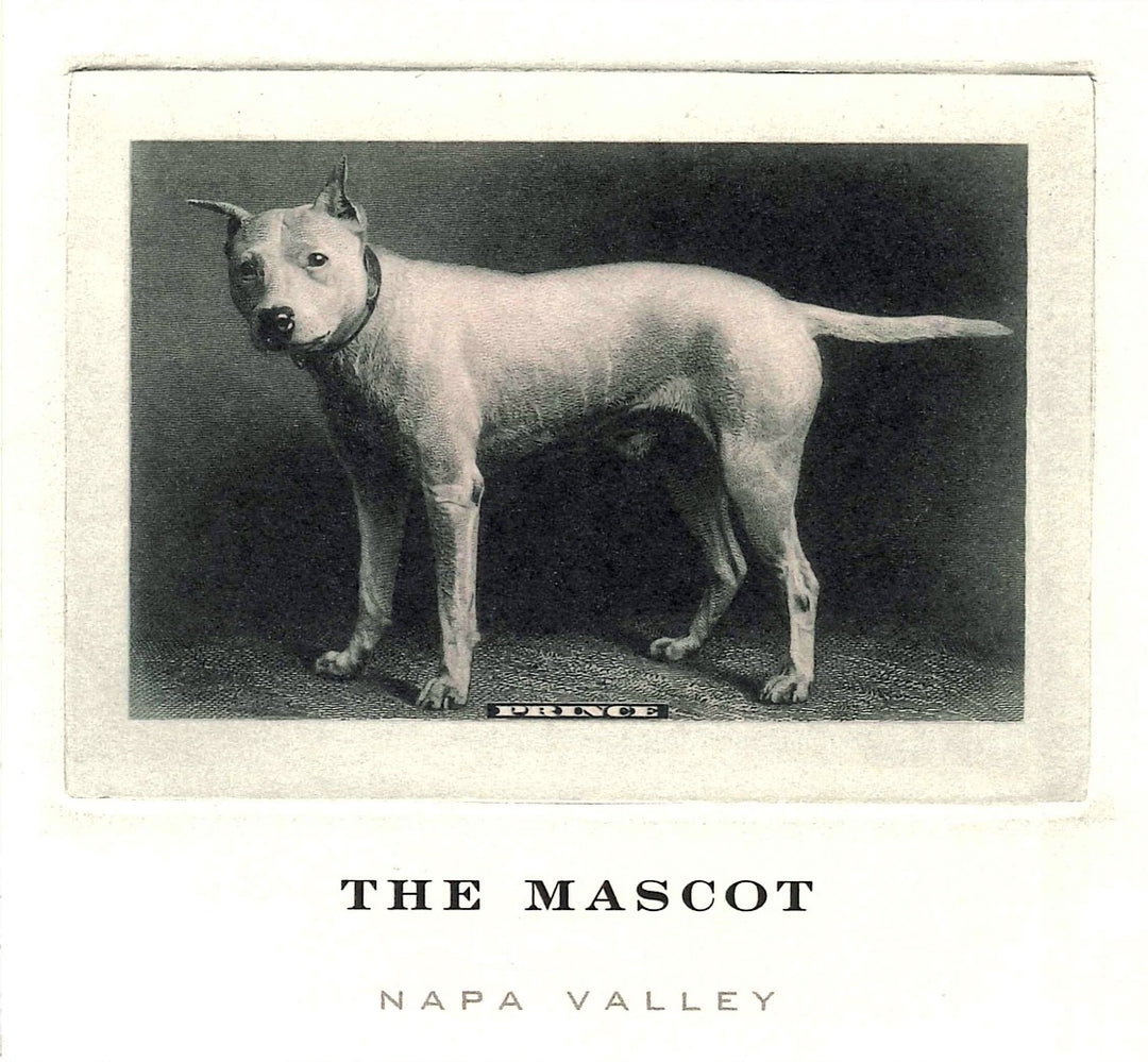 THE MASCOT 2020 image 0