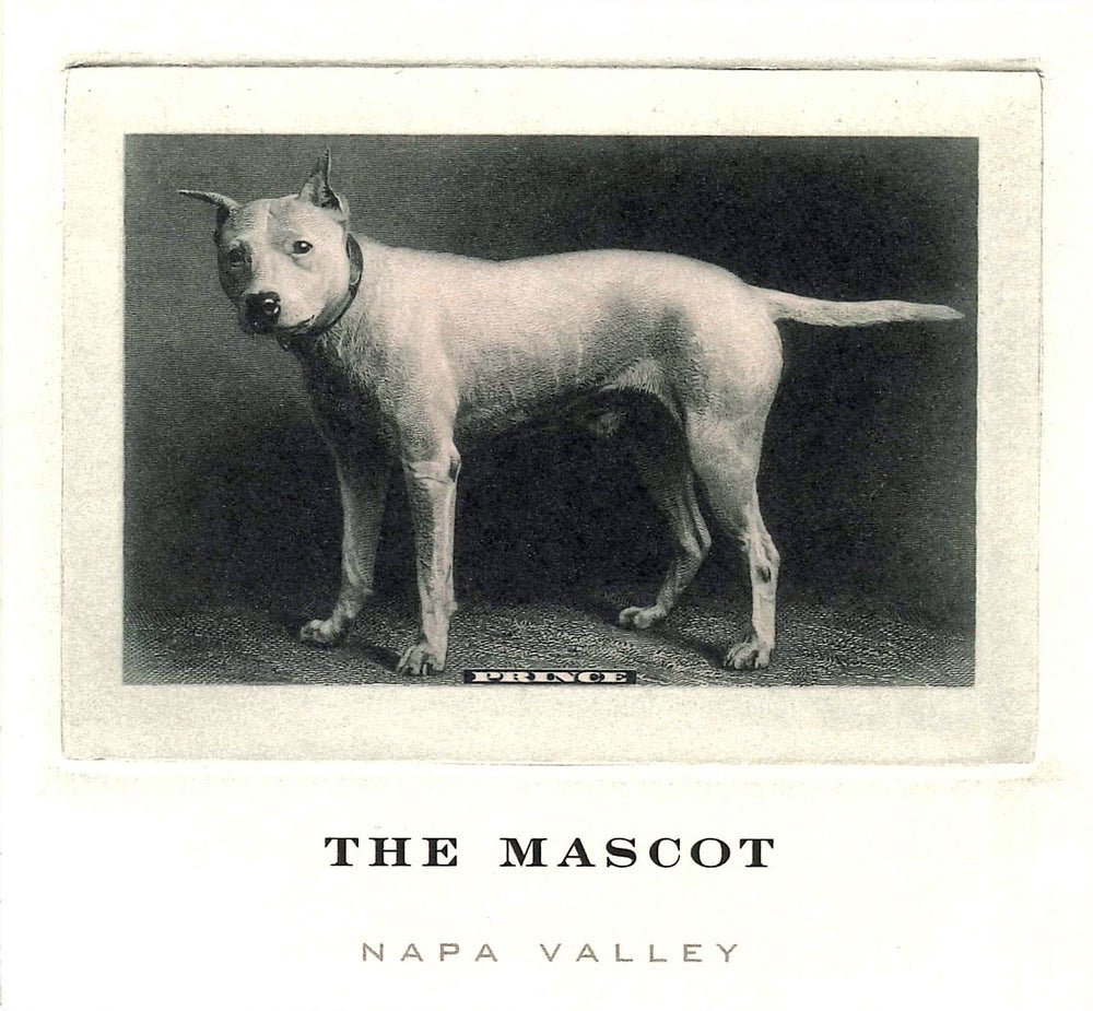 THE MASCOT 2020 image 1