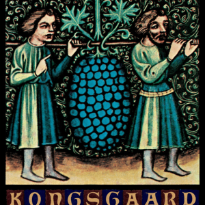 Kongsgaard Estate White 2023